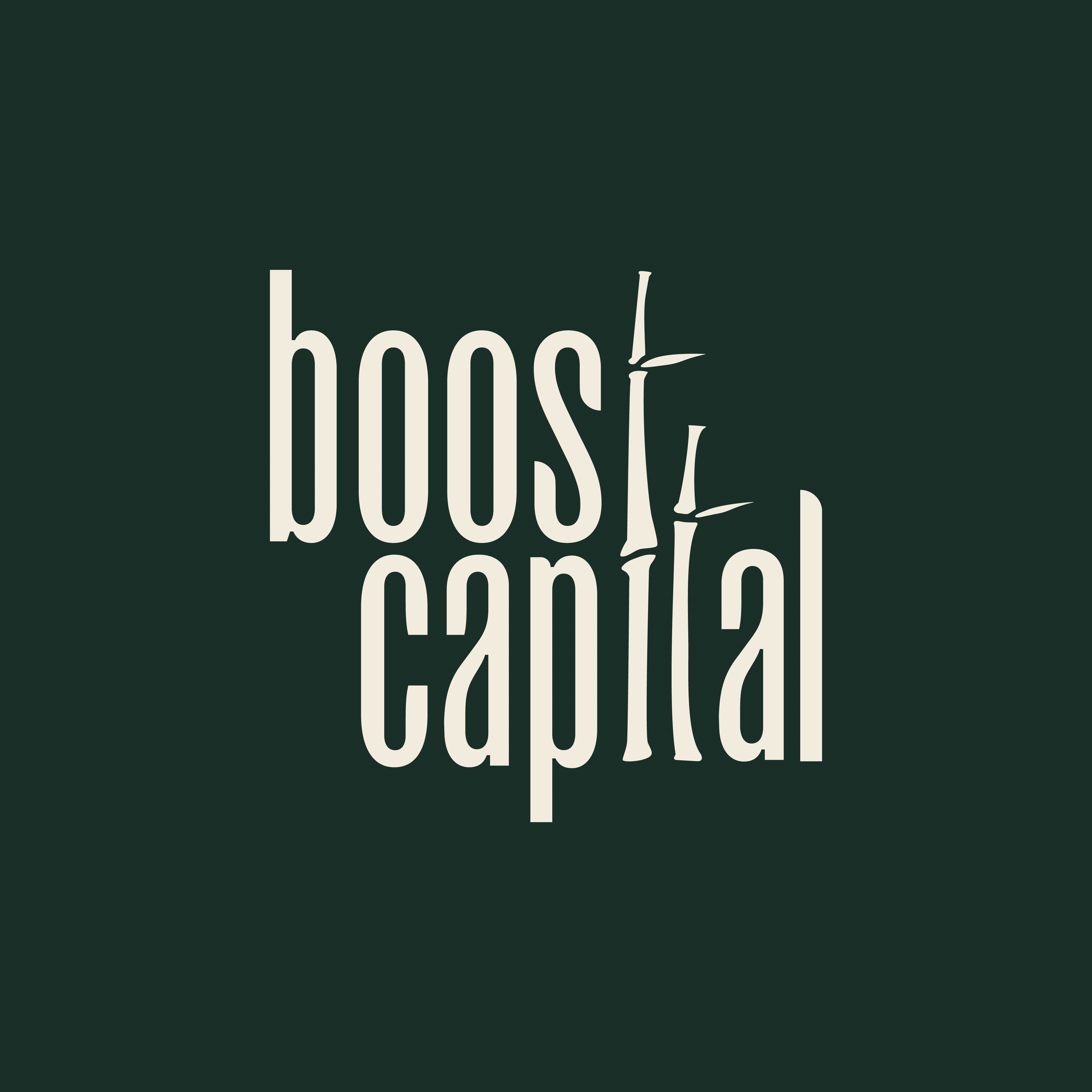 Boost Capital Co., Ltd.